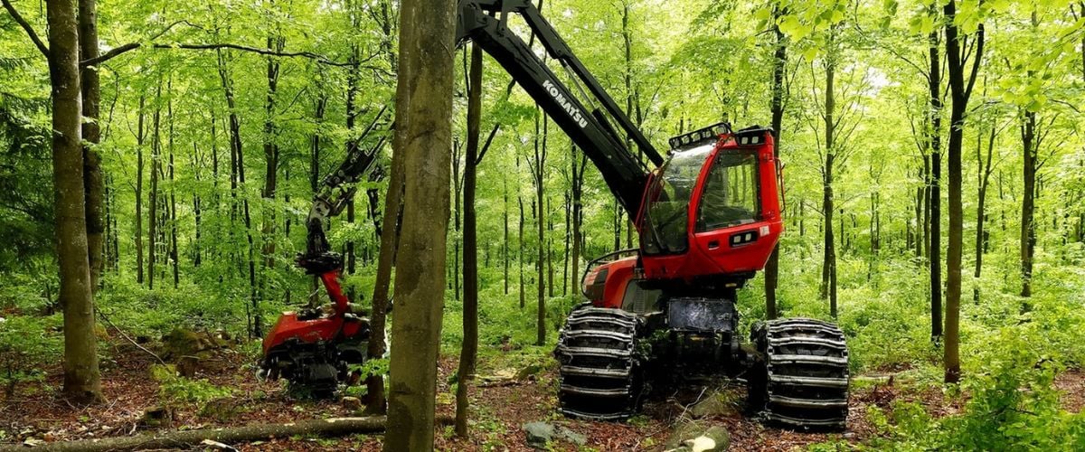 Naturbruk bransch.jpg